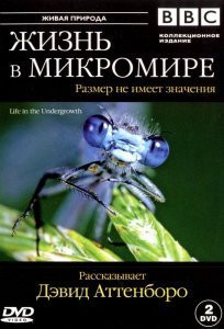 BBC: Жизнь в микромире